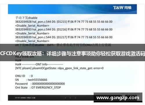 CFCDKey领取攻略：详细步骤与注意事项助你轻松获取游戏激活码